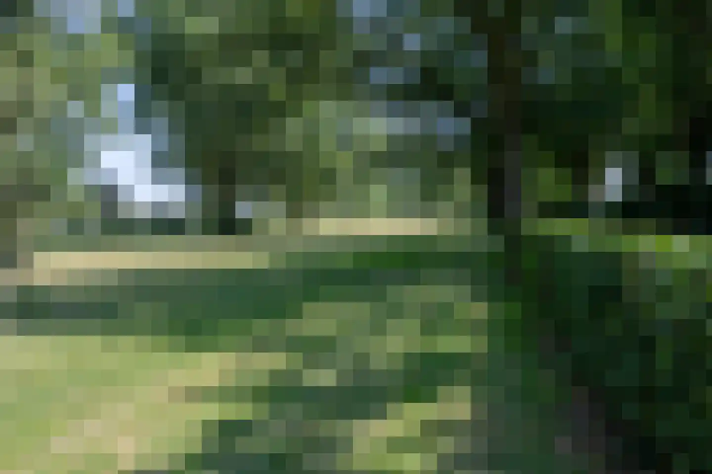 Loeffstraat 8 Waalwijk thumbnail 59