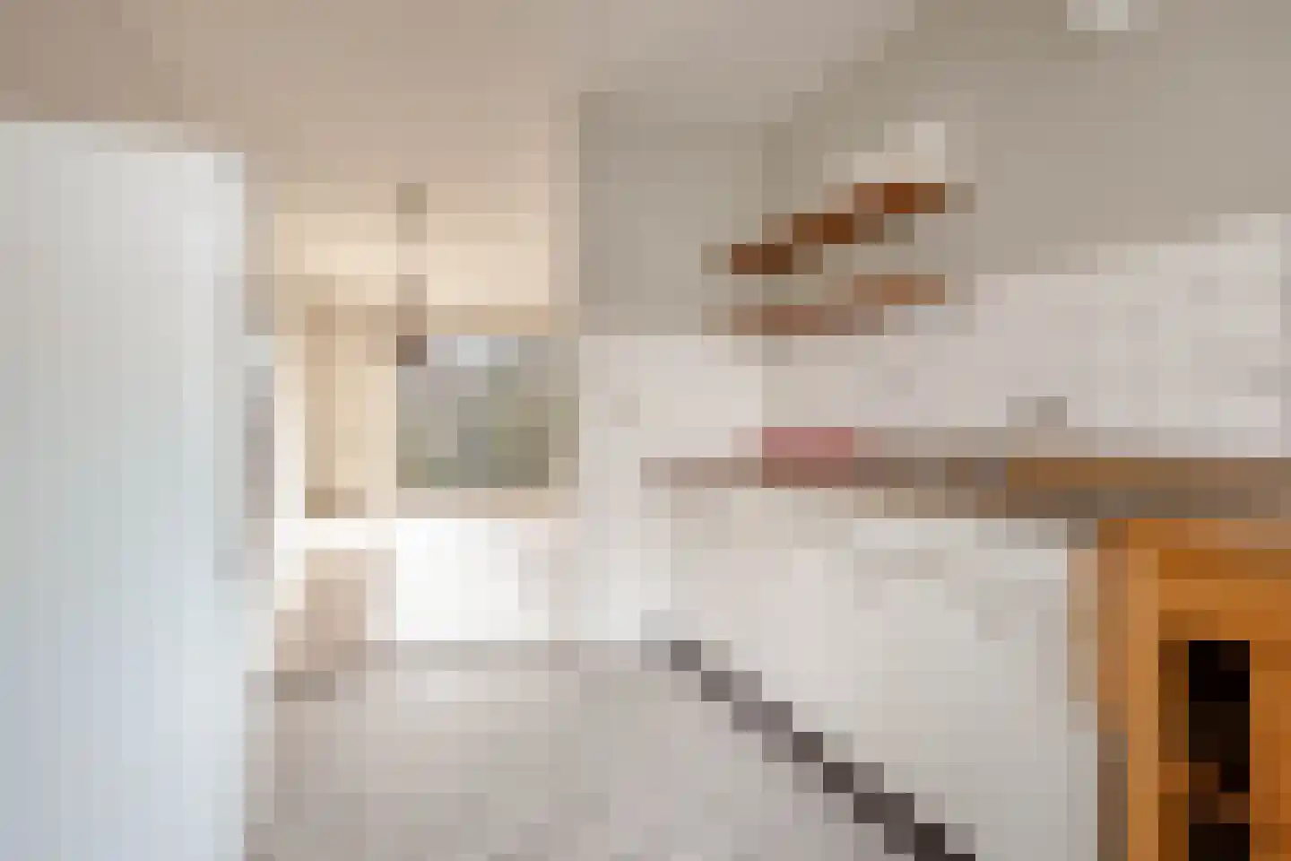 Loefzij 1 Huizen thumbnail 11