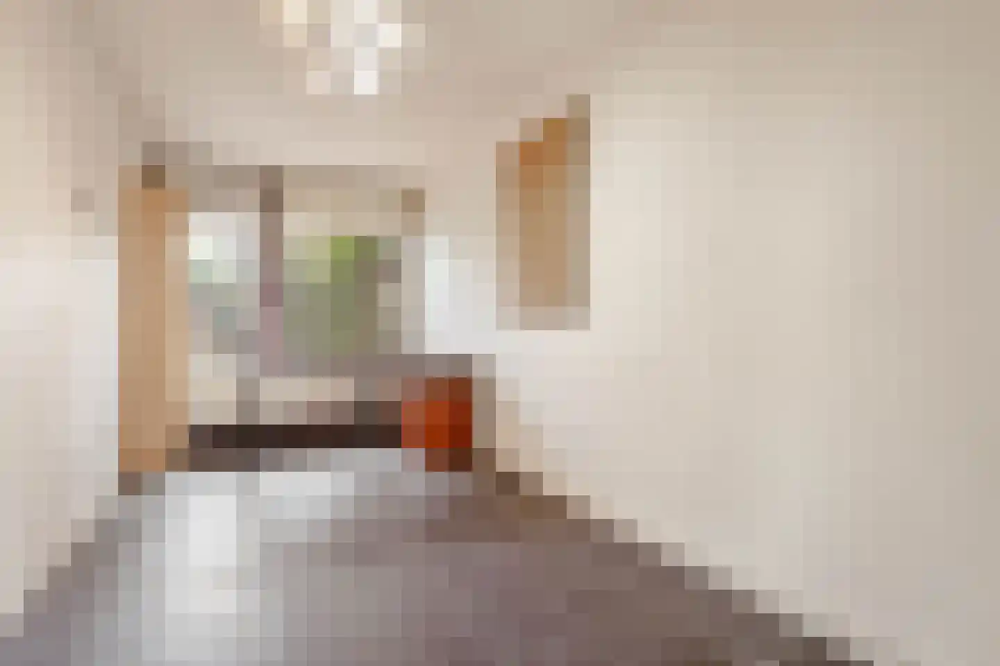 Loefzij 1 Huizen thumbnail 22