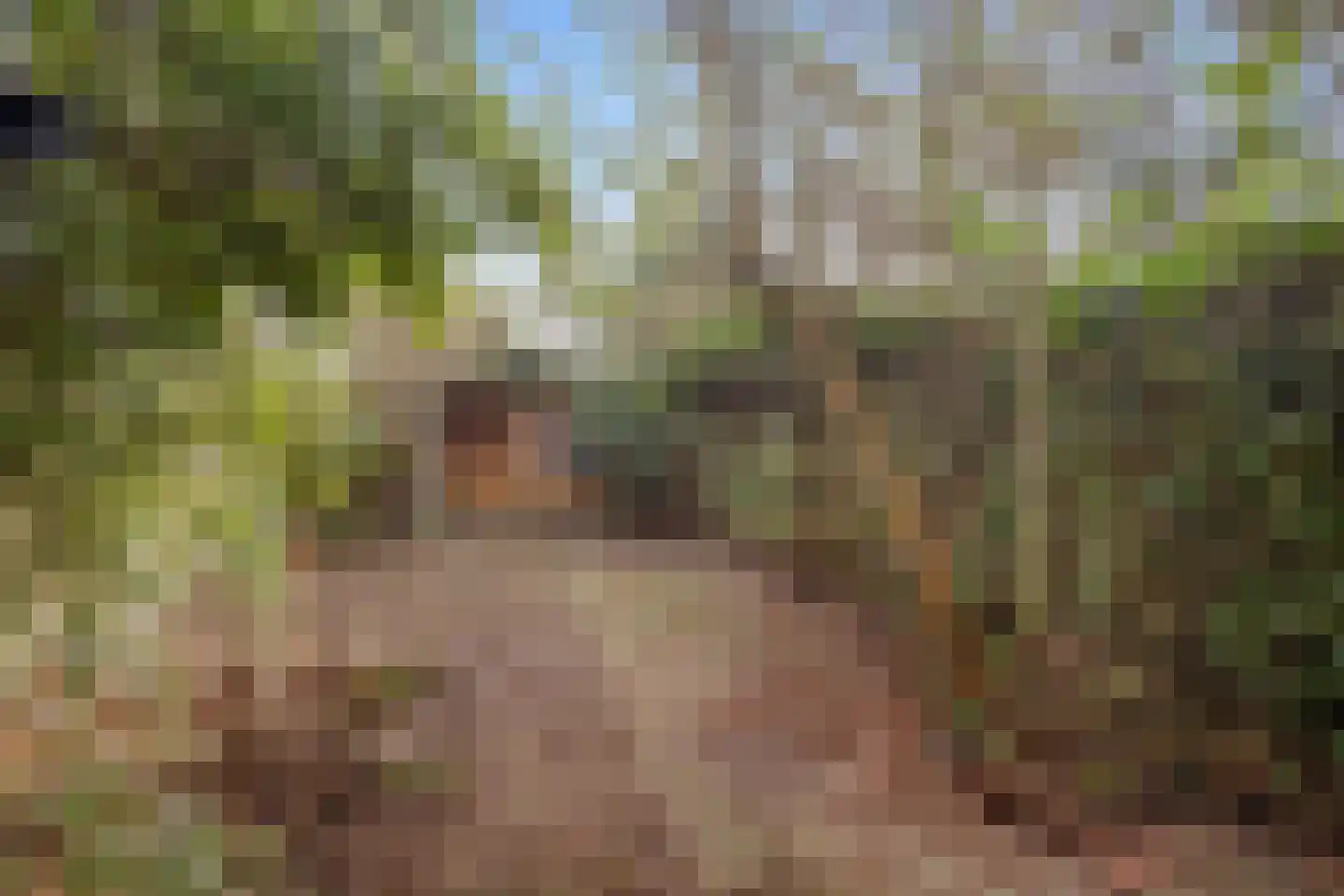 Loefzij 1 Huizen thumbnail 25