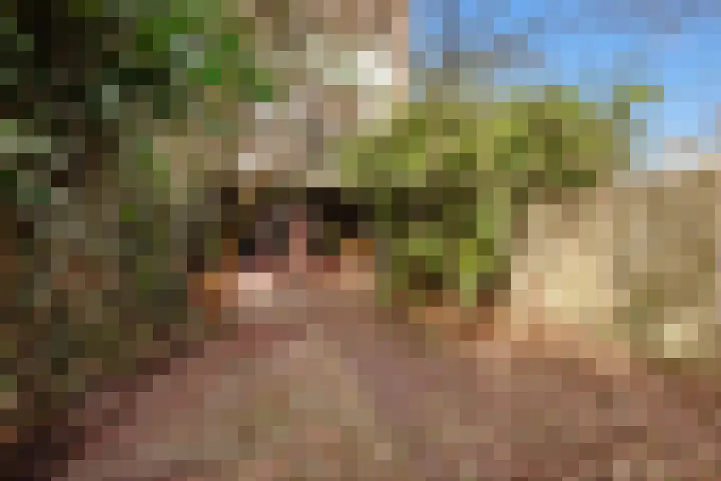 Loefzij 1 Huizen thumbnail 26