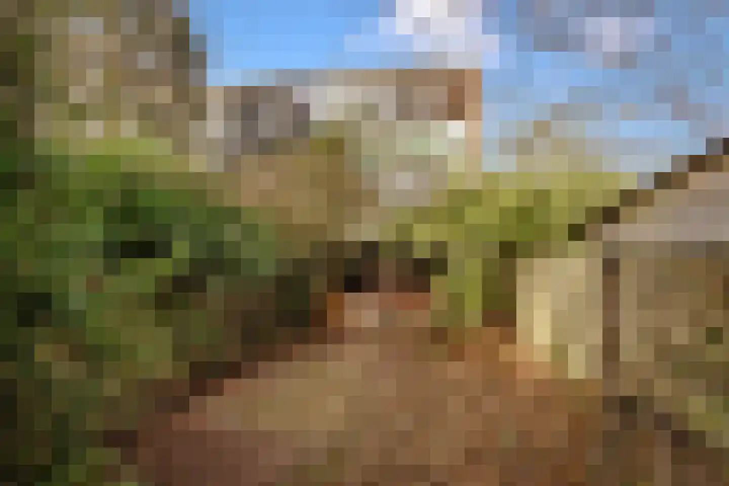 Loefzij 1 Huizen thumbnail 27