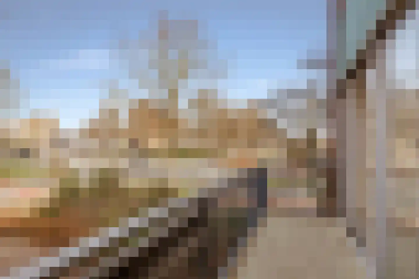 Loefzij 1 Huizen thumbnail 28