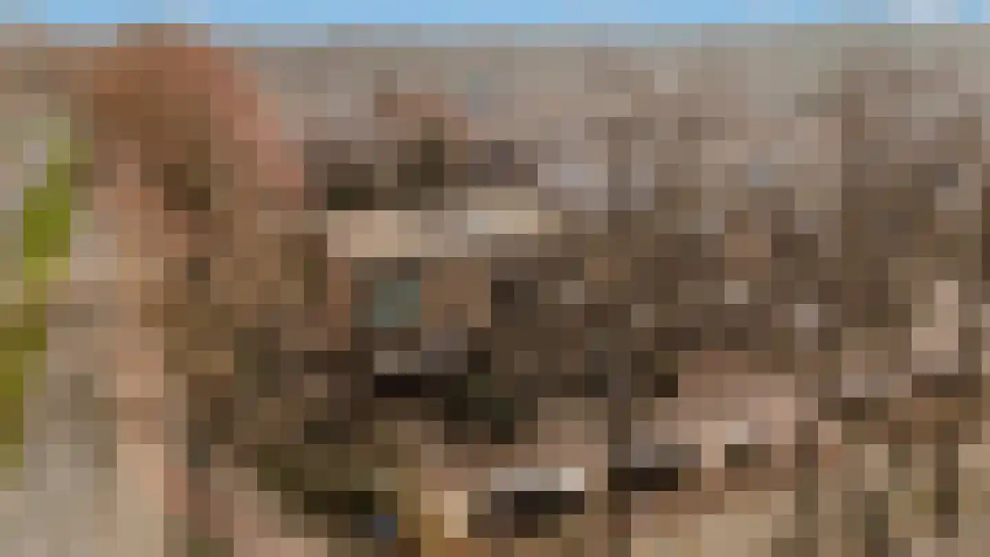 Loefzij 1 Huizen thumbnail 33