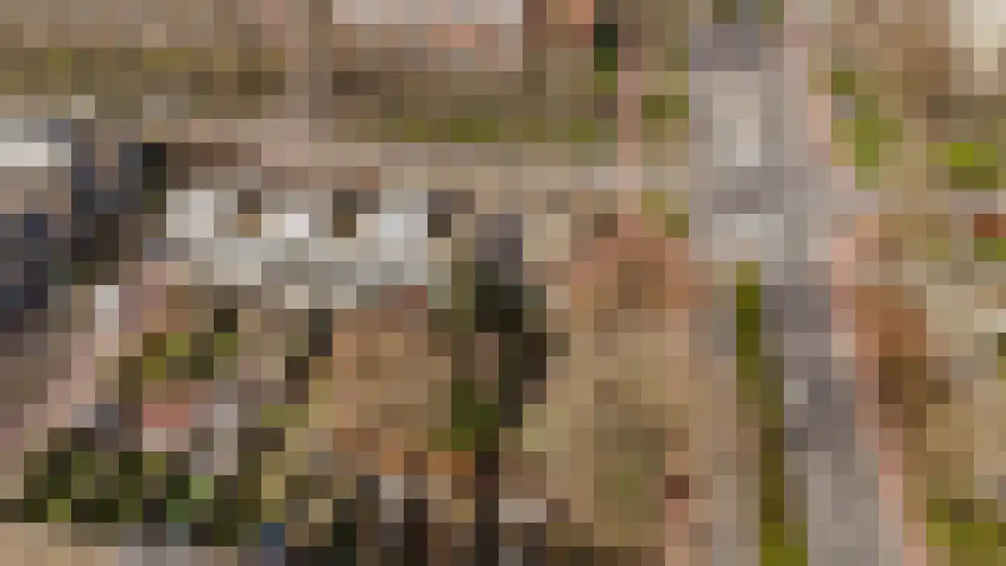 Loefzij 1 Huizen thumbnail 34