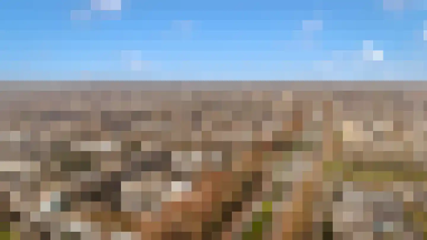 Loefzij 1 Huizen thumbnail 35