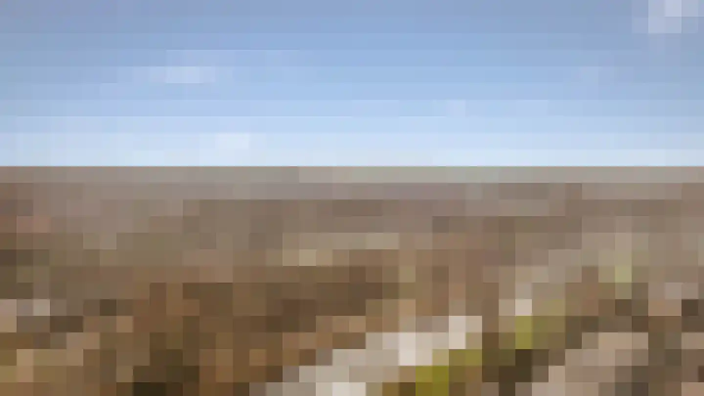 Loefzij 1 Huizen thumbnail 36