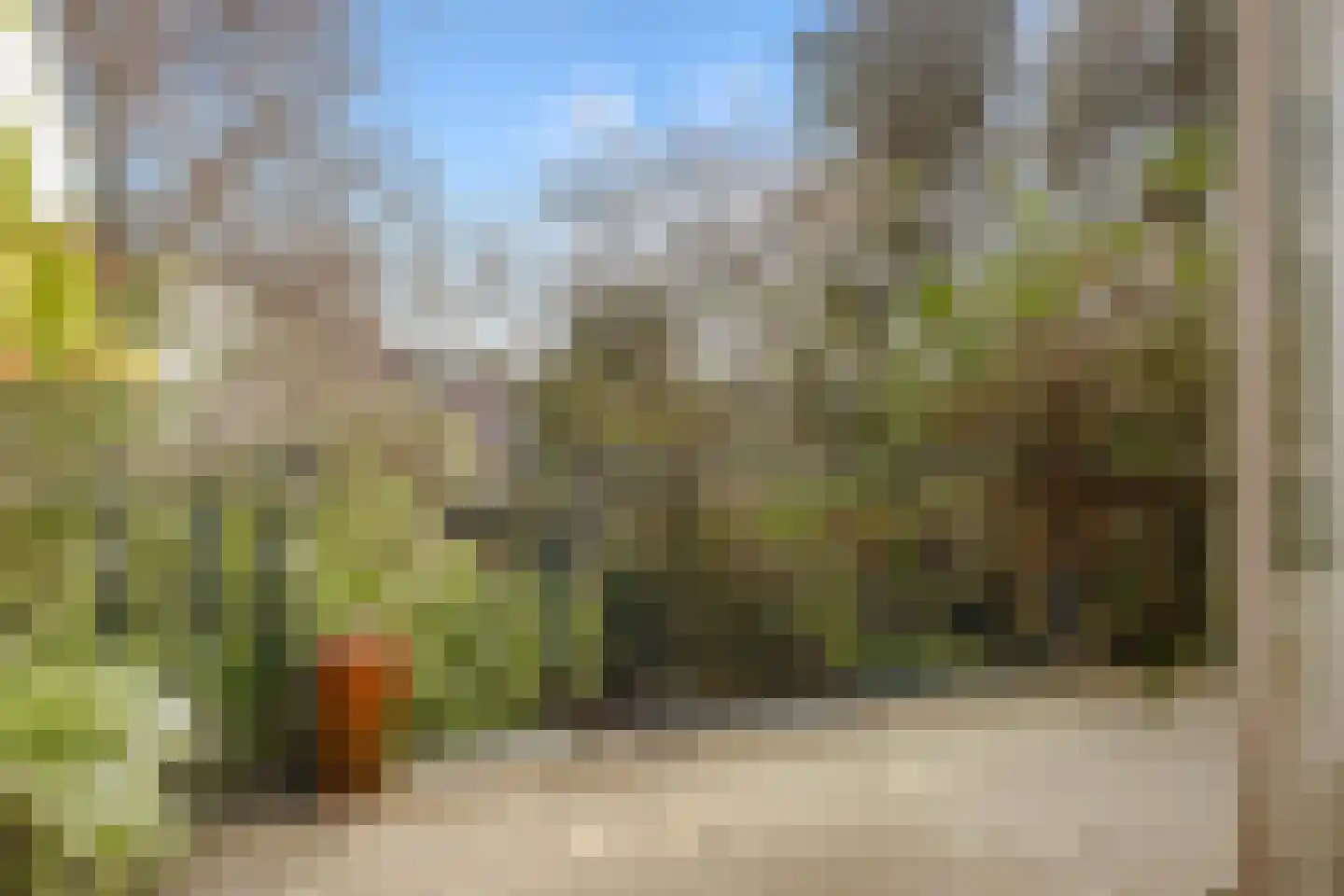 Loefzij 1 Huizen thumbnail 5