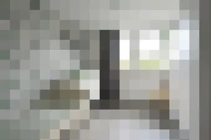 Loefzij 110 Huizen thumbnail 12
