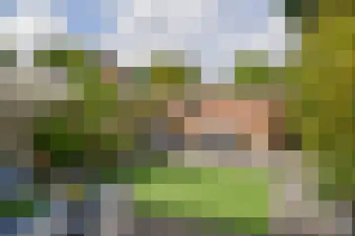 Loefzij 110 Huizen thumbnail 14