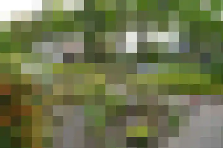 Loefzij 110 Huizen thumbnail 16