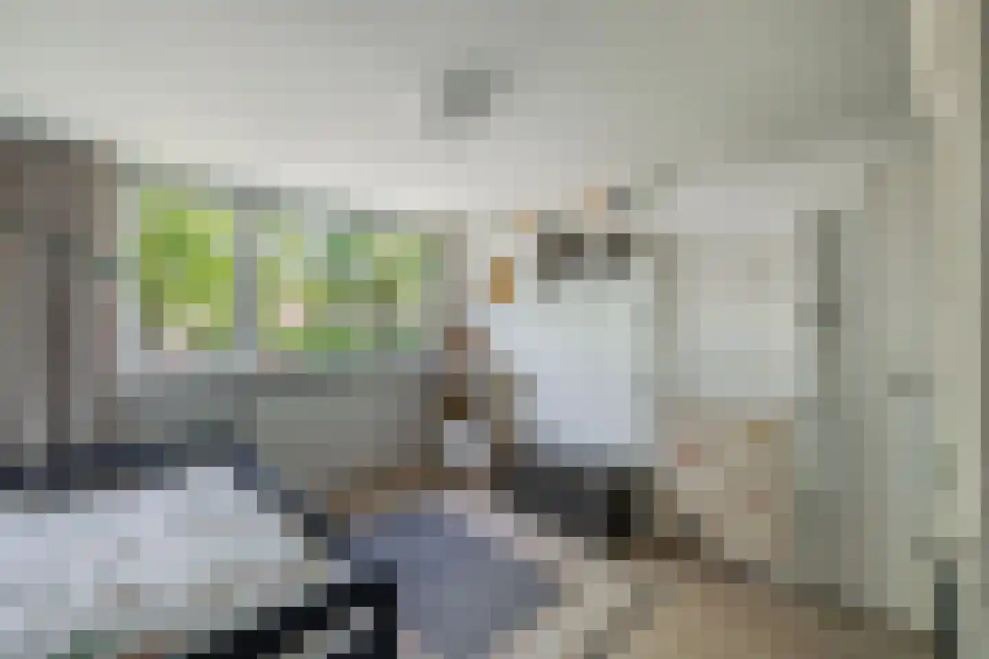 Loefzij 128 Huizen thumbnail 18