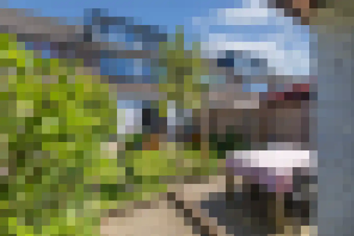 Loefzij 128 Huizen thumbnail 30