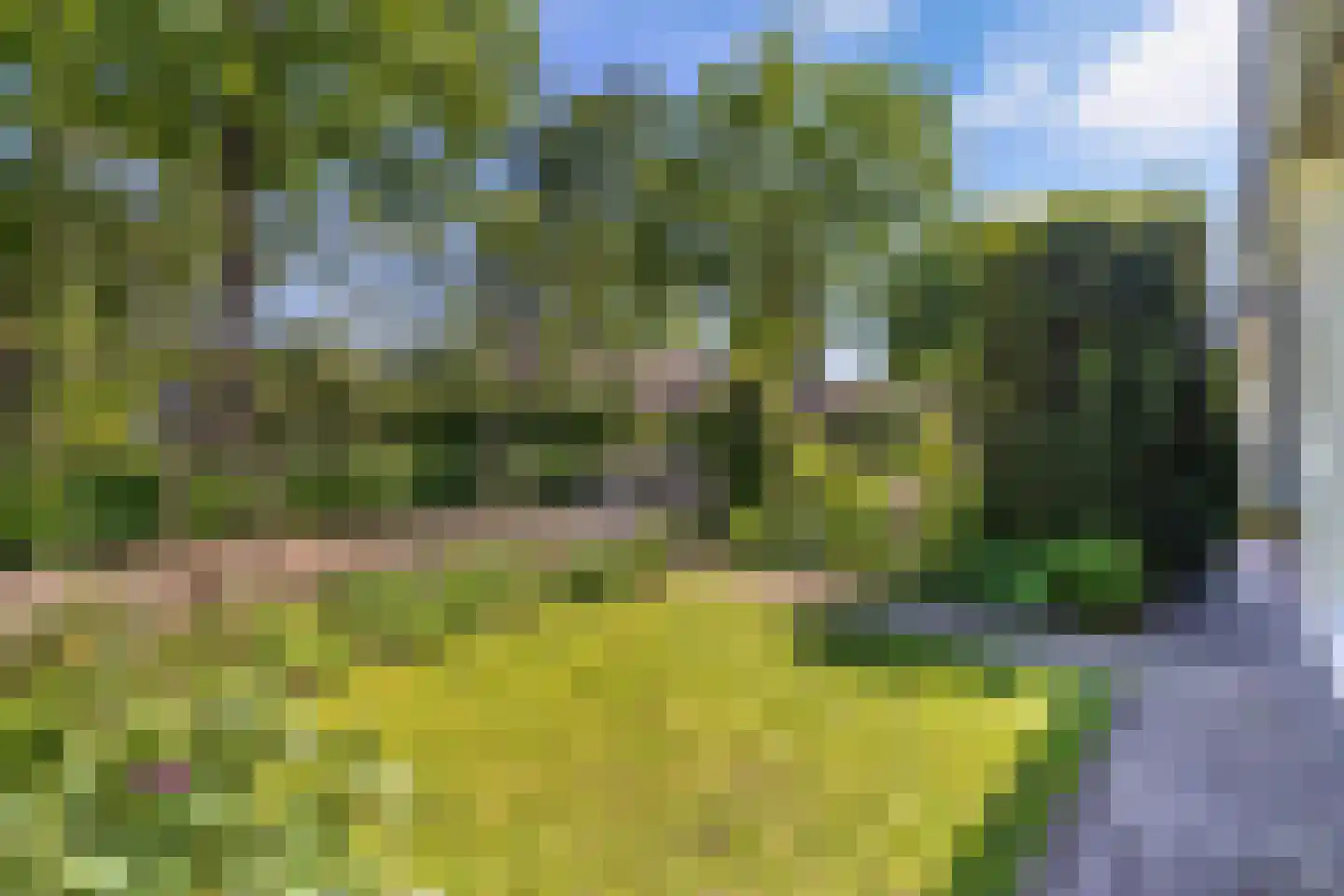 Loefzij 128 Huizen thumbnail 5