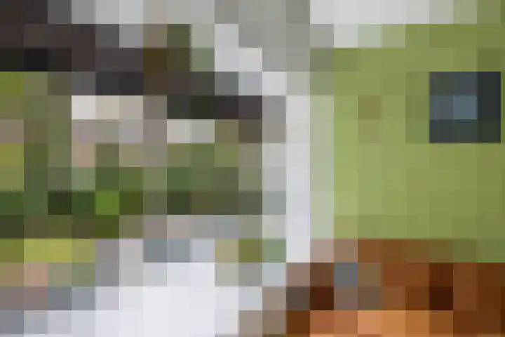 Loefzij 138 Huizen thumbnail 10