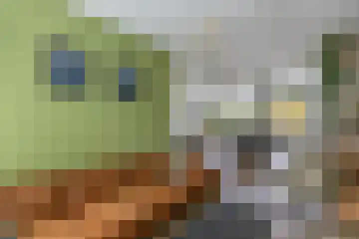 Loefzij 138 Huizen thumbnail 12