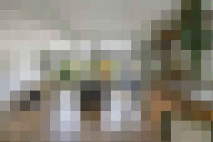 Loefzij 138 Huizen thumbnail 13