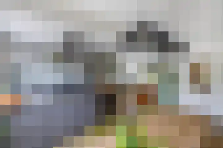 Loefzij 138 Huizen thumbnail 15
