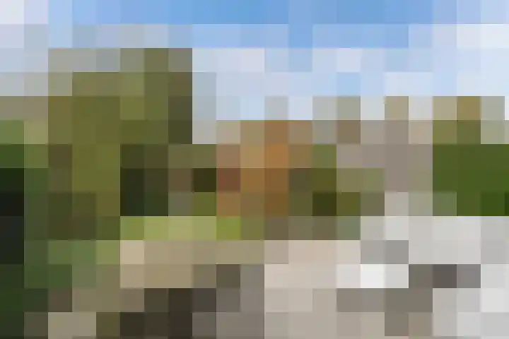 Loefzij 138 Huizen thumbnail 17