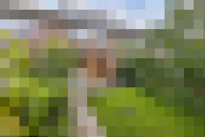 Loefzij 138 Huizen thumbnail 21