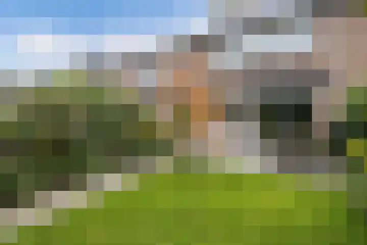 Loefzij 138 Huizen thumbnail 23