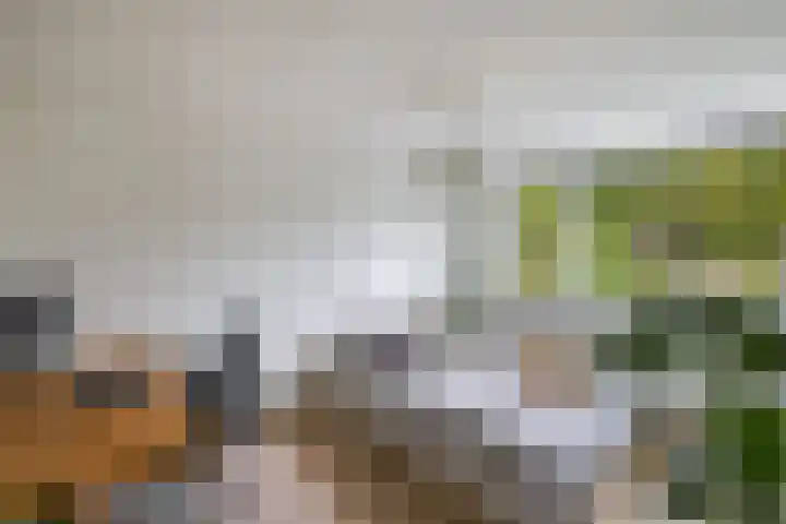 Loefzij 138 Huizen thumbnail 29