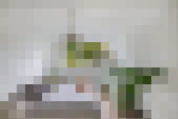 Loefzij 138 Huizen thumbnail 30