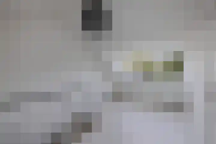 Loefzij 138 Huizen thumbnail 35