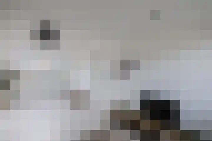 Loefzij 138 Huizen thumbnail 38