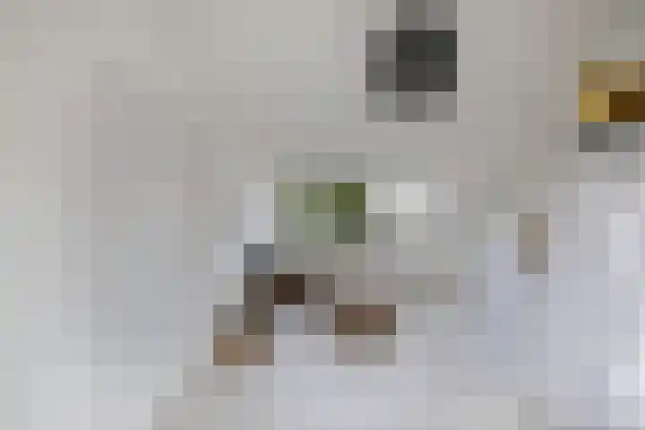 Loefzij 138 Huizen thumbnail 39