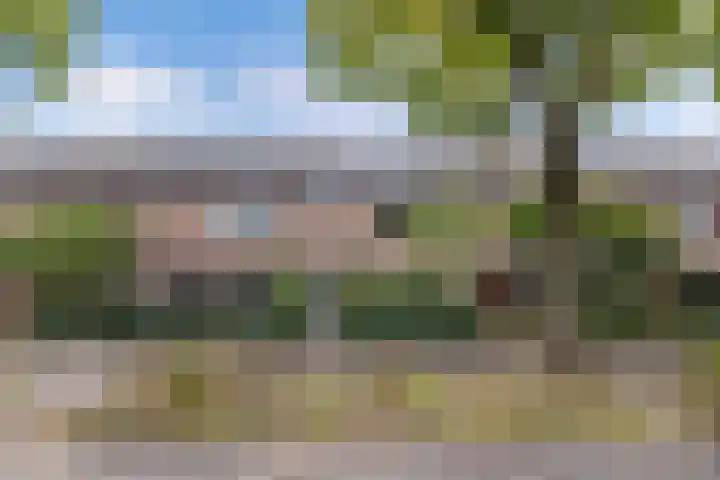 Loefzij 138 Huizen thumbnail 4