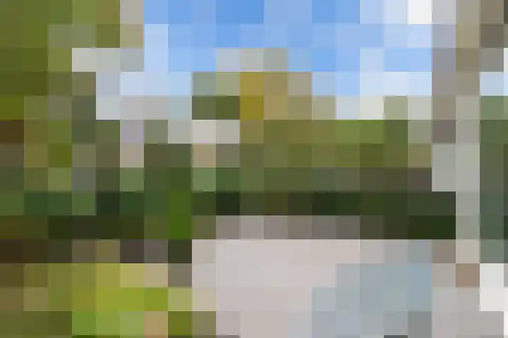 Loefzij 138 Huizen thumbnail 5