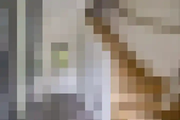 Loefzij 138 Huizen thumbnail 6