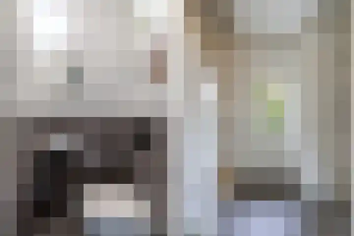 Loefzij 138 Huizen thumbnail 7