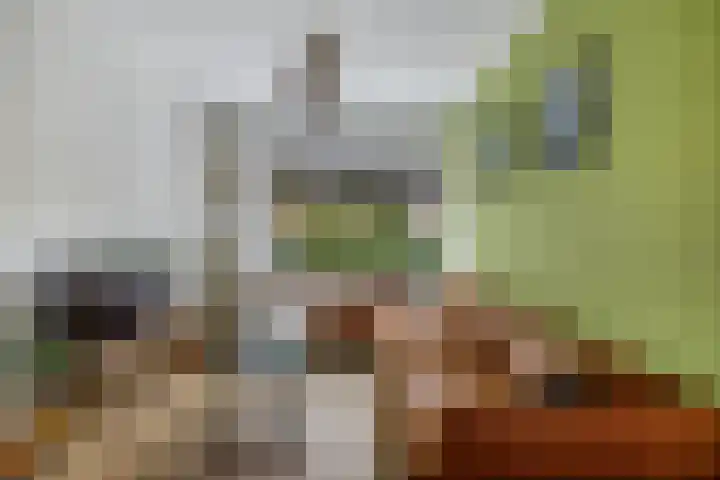 Loefzij 138 Huizen thumbnail 8