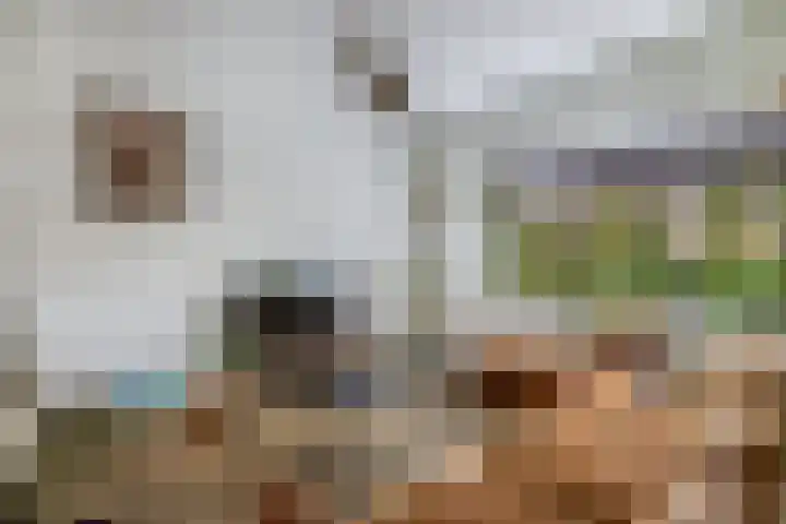 Loefzij 138 Huizen thumbnail 9