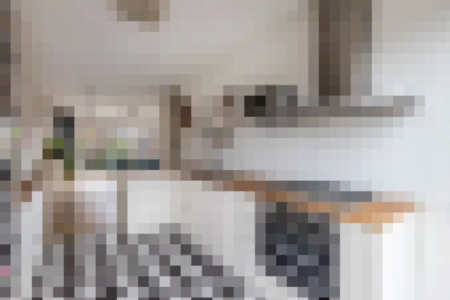 Loefzij 45 Huizen thumbnail 15