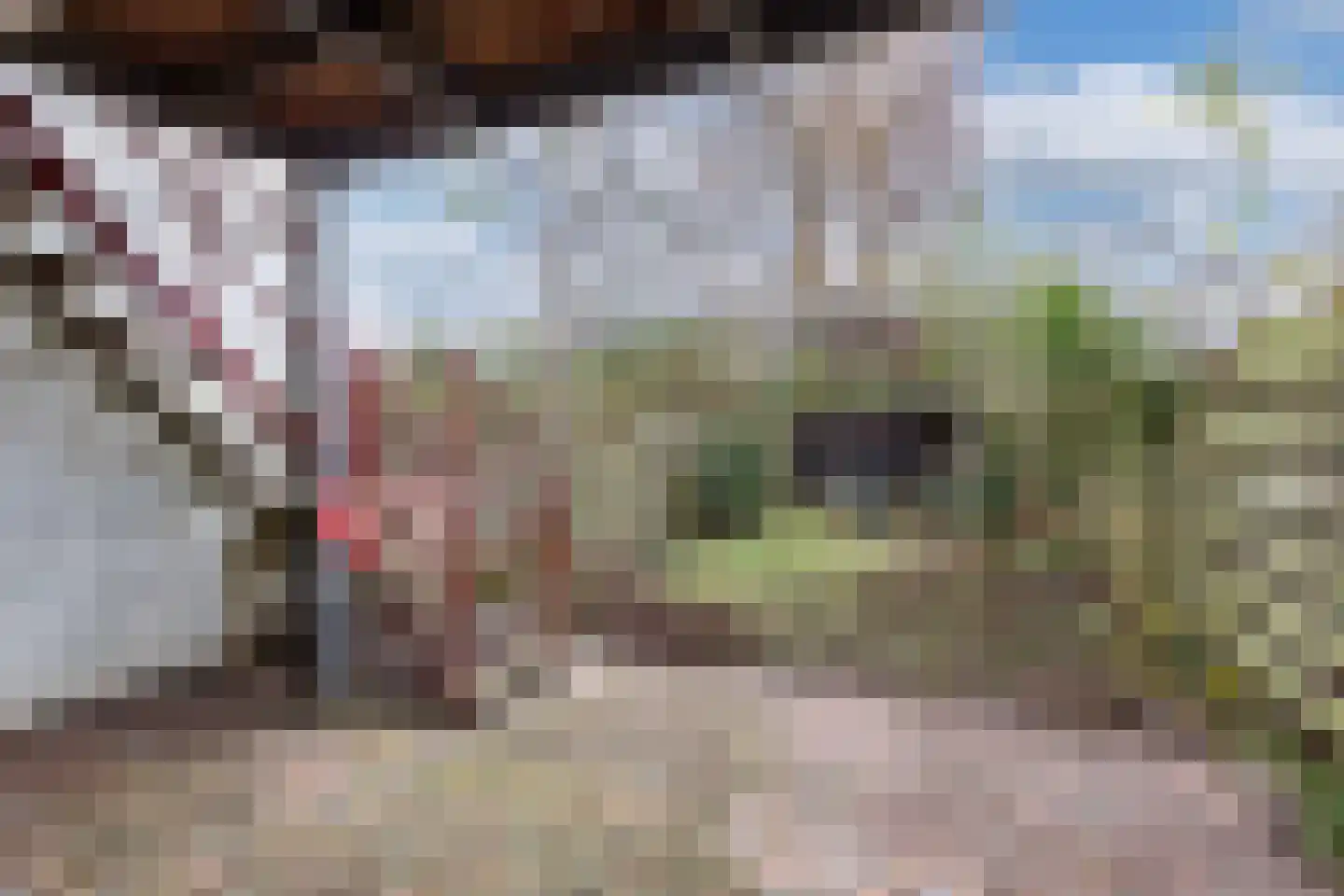 Loefzij 45 Huizen thumbnail 25