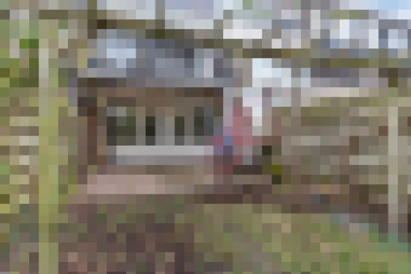 Loefzij 45 Huizen thumbnail 26