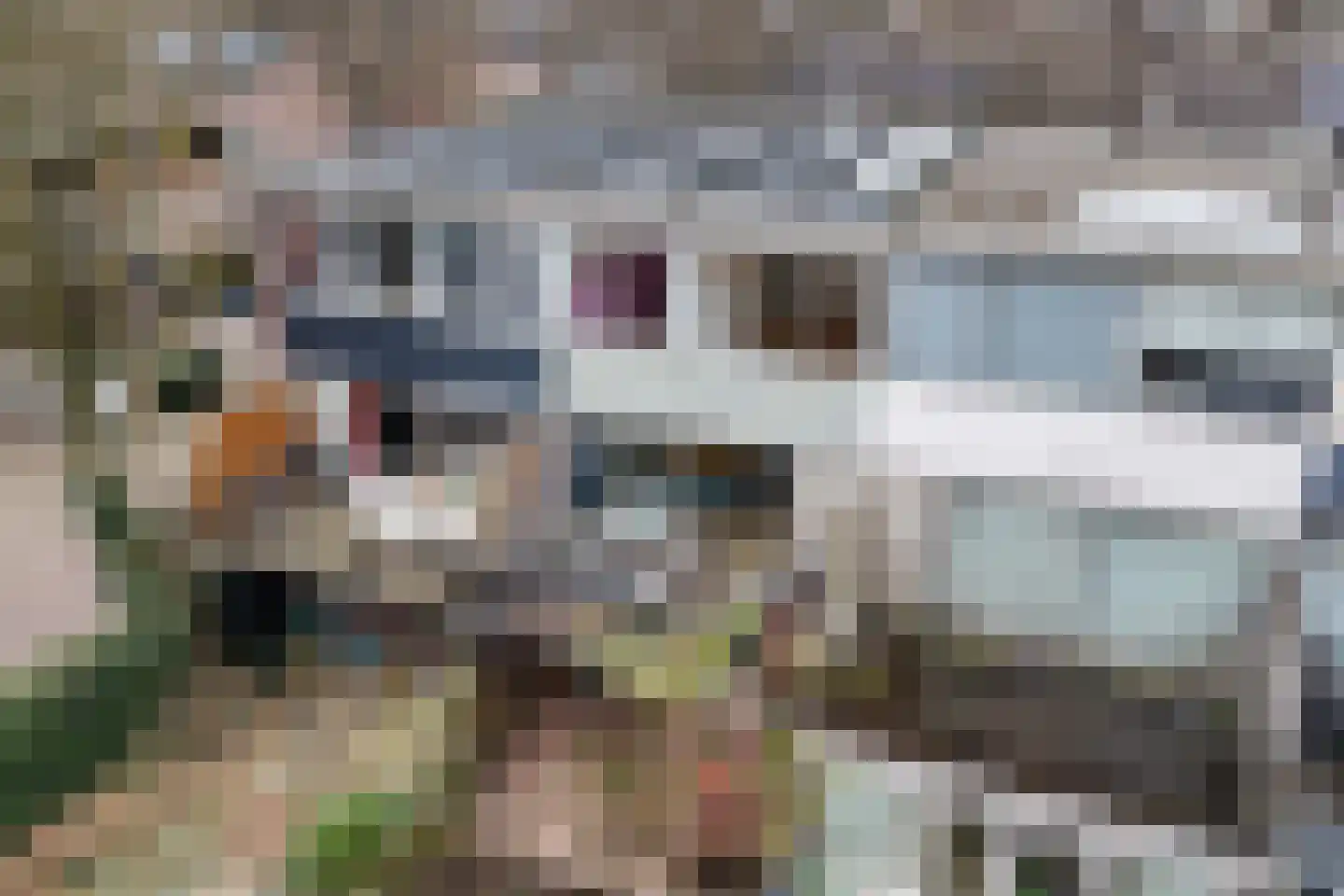 Loefzij 45 Huizen thumbnail 27