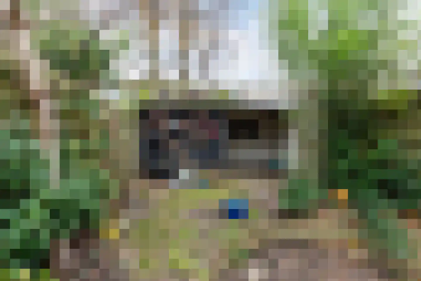 Loefzij 45 Huizen thumbnail 29
