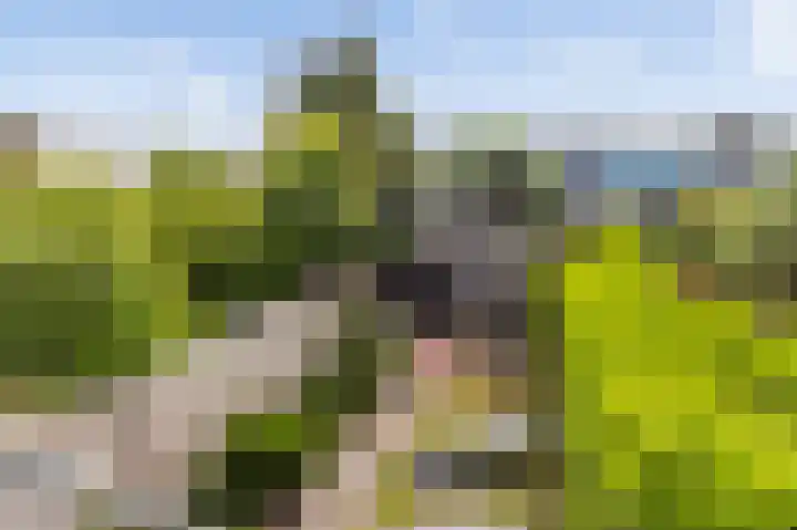 Loefzij 51 Huizen thumbnail 16