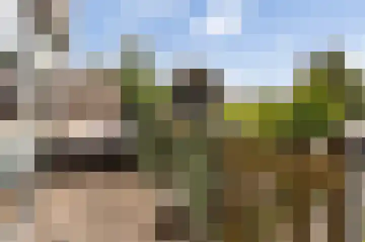 Loefzij 51 Huizen thumbnail 17