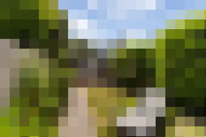 Loefzij 51 Huizen thumbnail 19