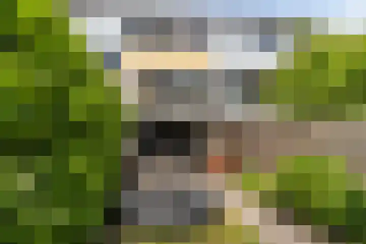Loefzij 51 Huizen thumbnail 21