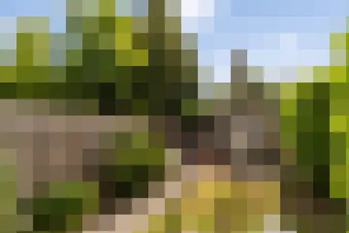 Loefzij 51 Huizen thumbnail 22