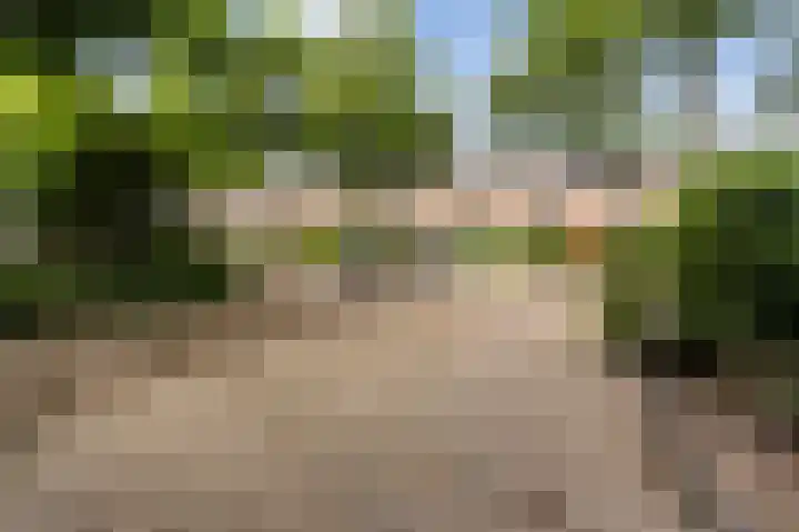Loefzij 51 Huizen thumbnail 23