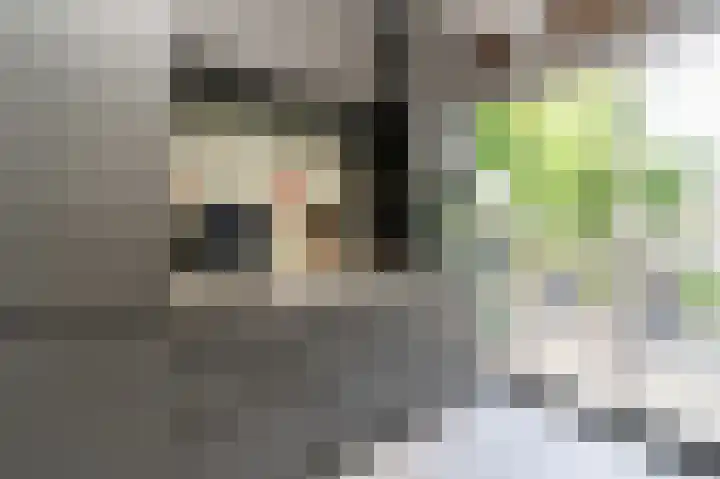 Loefzij 51 Huizen thumbnail 8