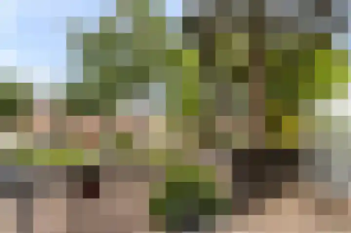 Loefzij 51 Huizen thumbnail 9