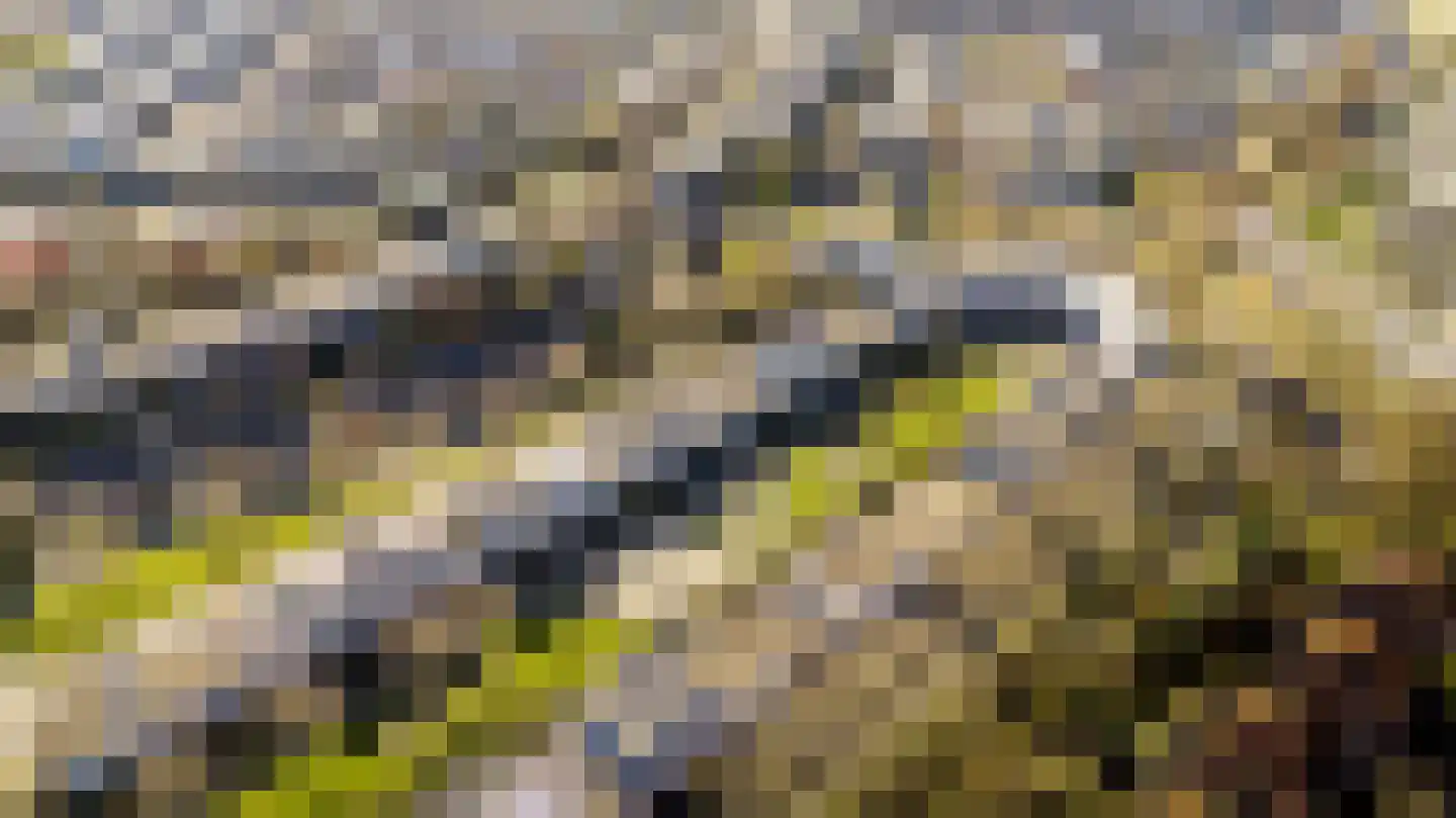 Loefzijde 12 Amersfoort thumbnail 36